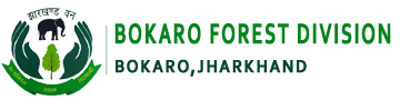 Bokaro Forest Division