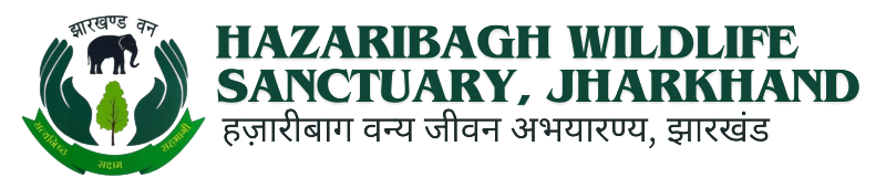 Hazaribagh Wildlife Sanctuary