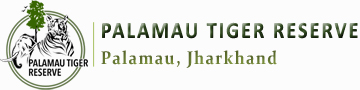 Palamau Tiger Reserve