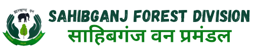 Sahibganj Forest Division